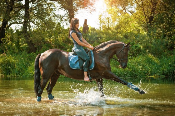 Fotolia_88956771_Subscription_XXL