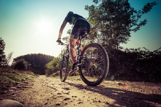 Fotolia_91707537_Subscription_XXL
